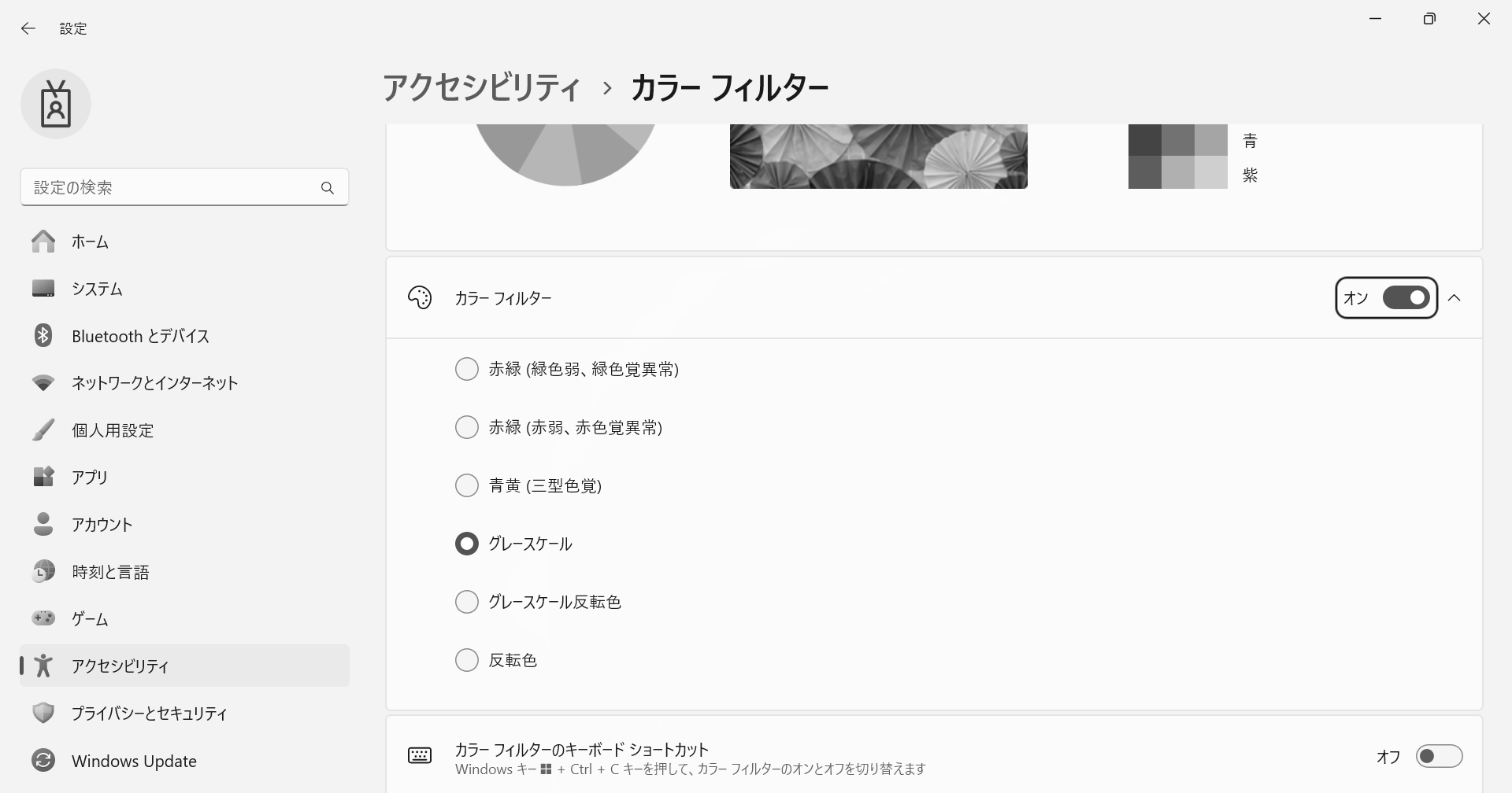 スクリーン・ショット：カラーフィルターの設定画面