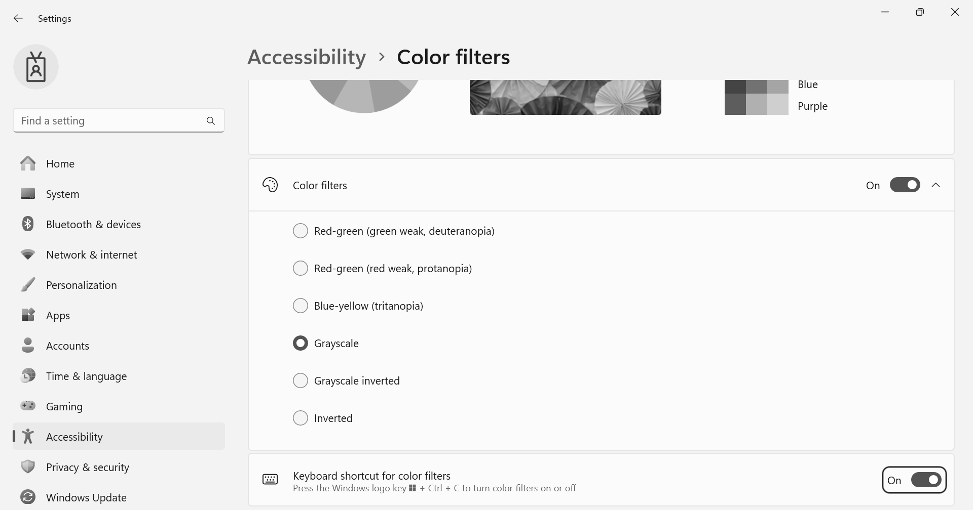 Screenshot: the Color Filters settings with Keyboard Shortcut enabled